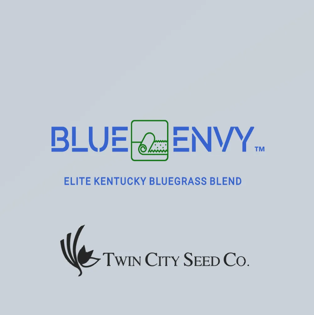 Twin City Seed BLUE ENVY Elite Kentucky Bluegrass Blend